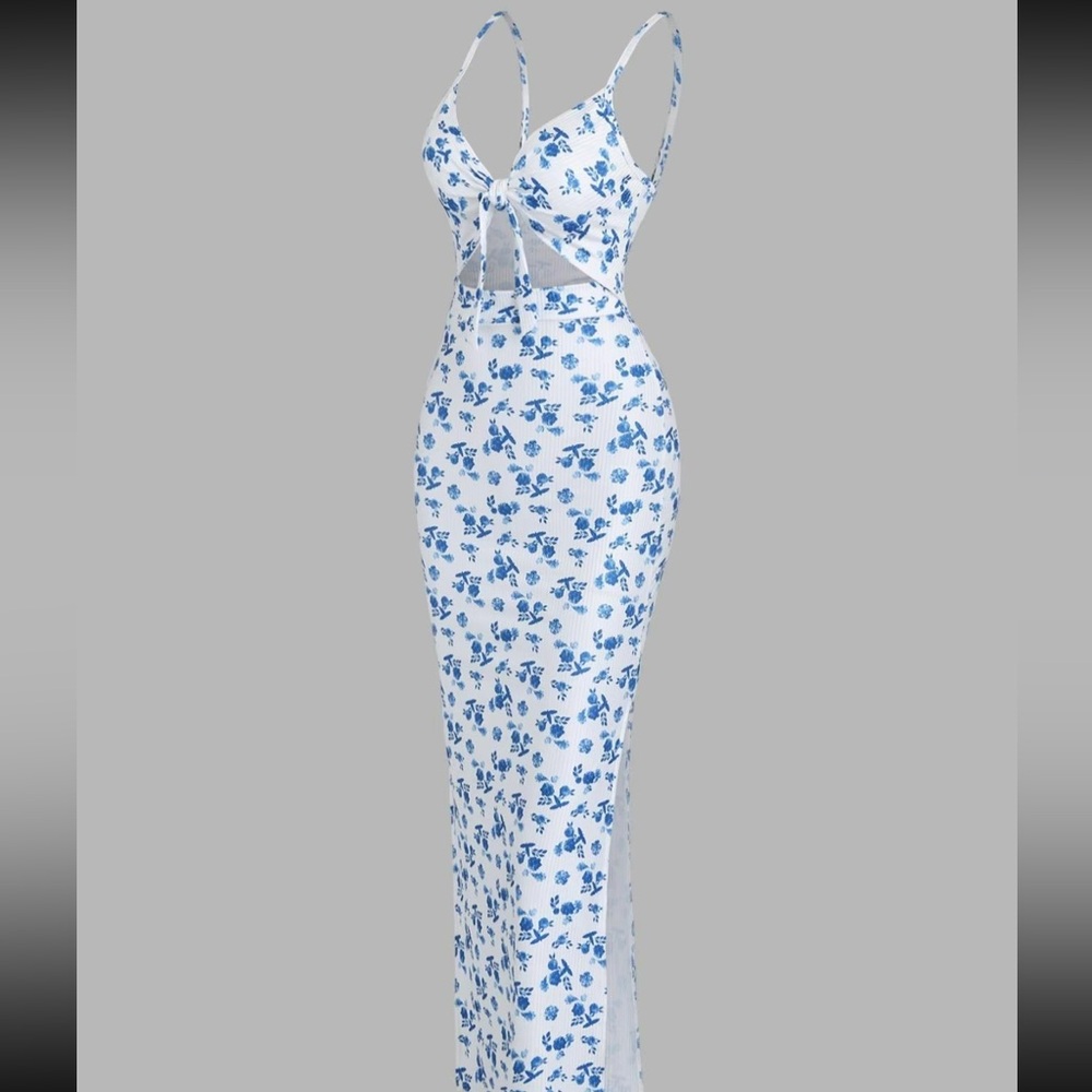 Floral Blue and White Women's Dress